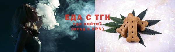 крисы Абаза