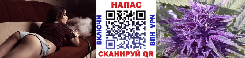 Марихуана ГИДРОПОН  хочу   mega как зайти  Старая Купавна 